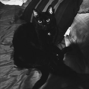 Meet your Posher, Marisol